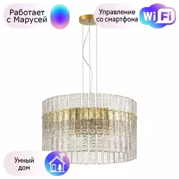 Подвесная люстра Odeon Light Merkale с поддержкой Маруся 4938/6-М