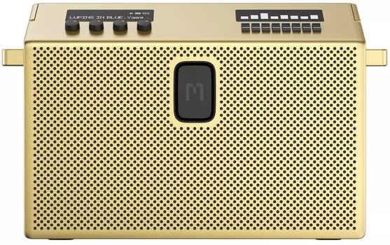 Акустика портативная Mondo by Defunc BT Speaker Large, золотой