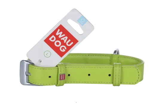 Ошейник COLLAR д/собак серии waudog glamour обхват шеи 38-49 см зеленый