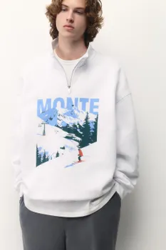 Свитшот half zip с зимним принтом