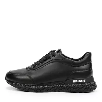 BRIGGS