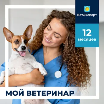 Сертификат ВетЭксперт на 12 месяцев