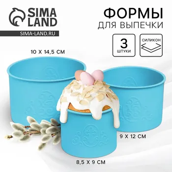 Силиконовая форма