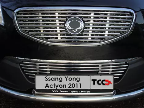 Решётка радиатора нижняя 12 мм Компания ТСС SSANACT11-10 Ssangyong Actyon 2010 - 2013