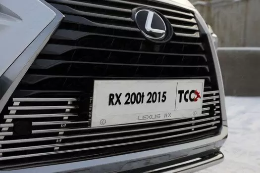 Решетка радиатора нижняя 12 мм ТСС LEXRX200t15-02 для LEXUS RX ( 2015 - по н. в. )