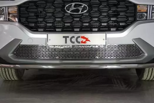 Решетка радиатора нижняя (лист) HYUNSF21-12 Компания ТСС для Hyundai Santa Fe (4G) TM рест. 2021-