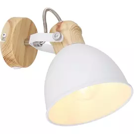 Спот Wiho 54018-1 Globo