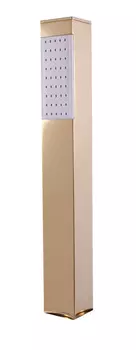 Душевая лейка Rav Slezak Loira PS0021Z золото