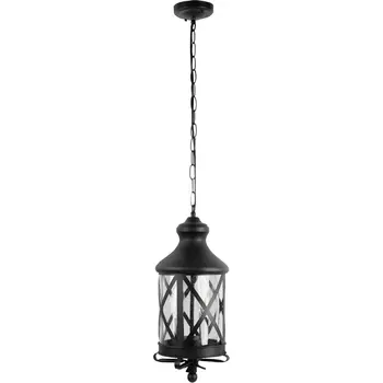 Подвесной уличный светильник IP44 Loft It Ferrara 100020P