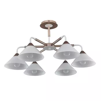Потолочная люстра 1.1.6 CW Arti Lampadari Ribera E