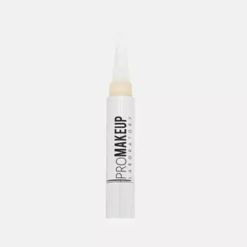PROMAKEUP LABORATORY Подсвечивающий консилер для лица FLASH TOUCH