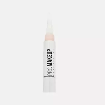 PROMAKEUP LABORATORY Подсвечивающий консилер для лица FLASH TOUCH