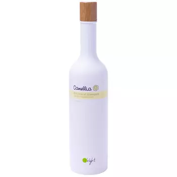 O'RIGHT Шампунь для жирной кожи головы Камелия / Camellia Oil-Control Shampoo 400 мл