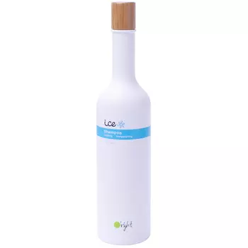 O'RIGHT Шампунь мужской для волос Лед / Ice Shampoo 400 мл