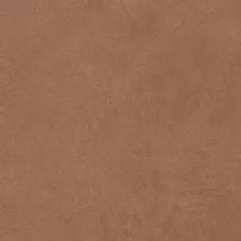 Керамогранит Anti-Slip Argillae Terra Rect 60х60