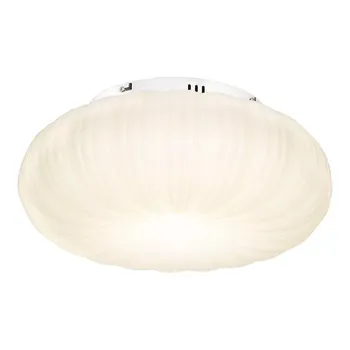 Потолочный светодиодный светильник Lussole Claudia LSP-0921