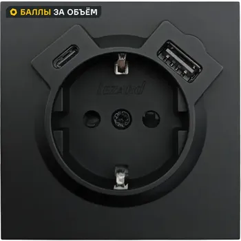 Розетка TC и USB встраиваемая Lezard Zima с заземлением цвет черный бархат