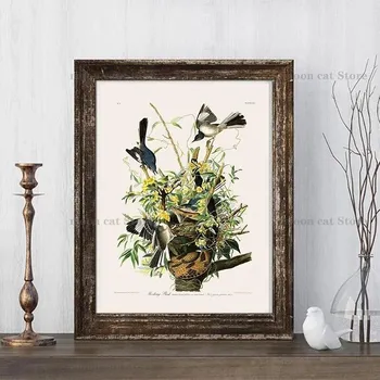 Винтажные птицы старый Audubon иллюстрация цветочные растения плакат холст живопись баклан птица настенные панно реализм искусство домашний декор