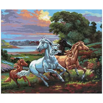 11516-CDA Канва с рисунком Collection D`Art 'Галоп' 50*60 см