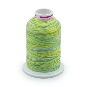 11 Нить Bulky-Lock 80 мультиколор текстурированная, 1000м, 100% п/э Gutermann 730809 (9963)