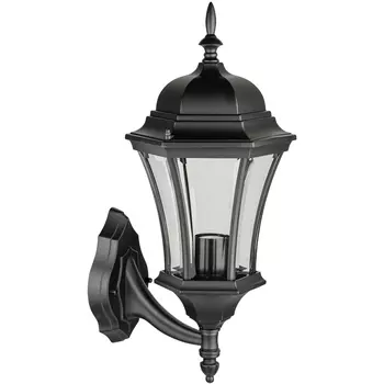 Настенный уличный фонарь Bl Oasis Light ASTORIA 1 L 91301L