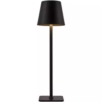 Настольная лампа светодиодная с аккумулятором и зарядкой от USB F-Promo Pyari 4615-1T