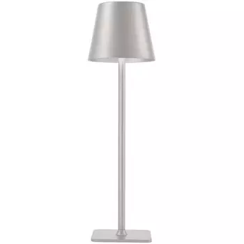 Настольная лампа светодиодная с аккумулятором и зарядкой от USB F-Promo Pyari 4617-1T