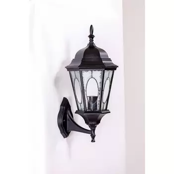 Настенный уличный фонарь IP44 2M 91401M Bl овал Oasis Light ASTORIA