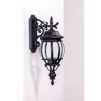 Настенный уличный фонарь 83402L/06 BL Oasis Light AMERICA L