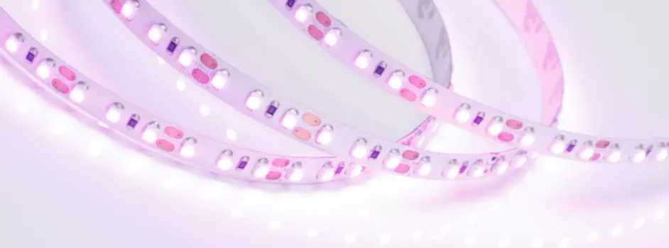 LED лента Arlight RT открытая 015897(2)