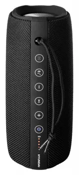 Портативная акустика Hyundai H-PAC340, 20 Вт, FM, microSD, Bluetooth, черный (H-PAC340)