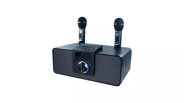 Портативная акустика Ritmix SP-660B, 30 Вт, FM, AUX, USB, microSD, Bluetooth, черный