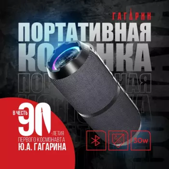 Портативная акустика Урал Гагарин ГР-003, 30 Вт, FM, AUX, Bluetooth, серый (GAGARIN_GR-003_GRAY)