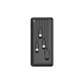 Портативный аккумулятор (Powerbank) Perfeo ABSOLUTE, 10000 мА·ч, 2.1А, Type-C, черный (PF_B4878)