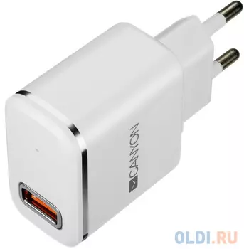 Сетевой адаптер Canyon H-043 2.1A USB белый серебристый