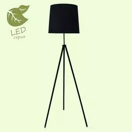 Торшер Lussole TRUXTON GRLSP-0501