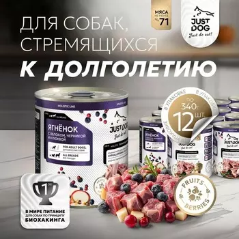Just Dog Holistic влажный корм для собак, с ЯГНЕНКОМ, черникой, клюквой и яблоком / Just Dog Holistic, 0,340 кг (консервы) повседневный супер премиум для взрослых с ягненком для всех пород консервы (в железной банке) Российский корм 1 уп. х 6 шт. х 2.04 кг