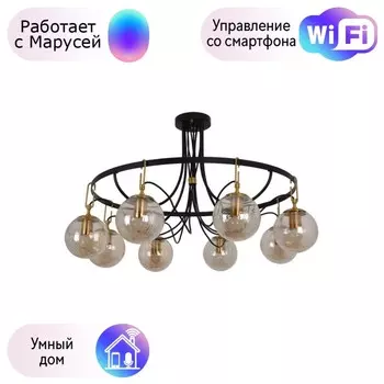 Потолочная люстра DeMarkt Гамбург с поддержкой Маруся 605016308-М