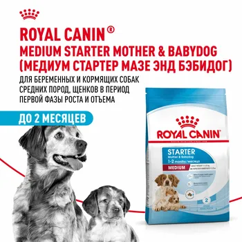 Еда Royal Canin