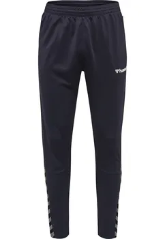 Спортивные брюки Hummel Hosen Hmlauthentic Training Pant, морской