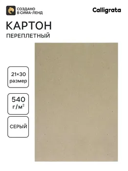 Картон переплетный 0.9 мм, 21 х 30, 50 листов, 540 г/м