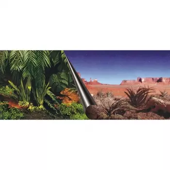 EBI Фон для аквариумов "Jungle & desert", 80х40см (Нидерланды)