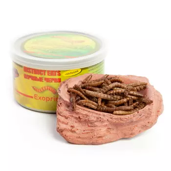 EXOPRIMA Instinct Eats Корм для рептилий консервированный "Мучные черви", З5гр