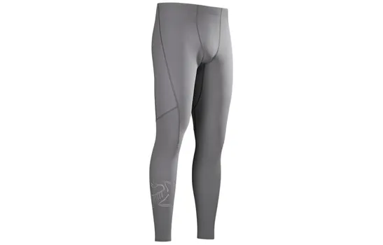 Штаны спортивные Arcteryx мужские, серый
