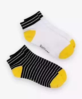 Носки 2 пары Gulliver (22-24)