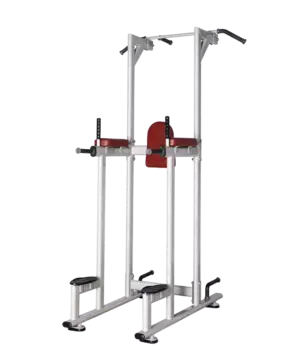 Турник/Пресс/Брусья Bronze Gym H-027