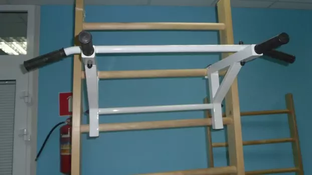 Тренажер турник-брусья навесной на шведскую стенку 100x60x30см ФСИ 9788