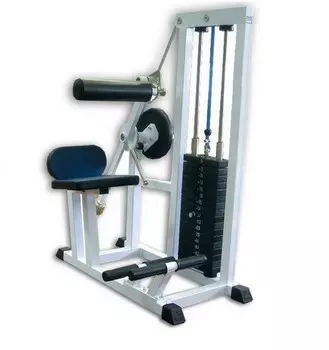 Тренажер для мышц разгибателей спины Hercules А-135 3881