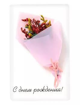 Открытка Bernes