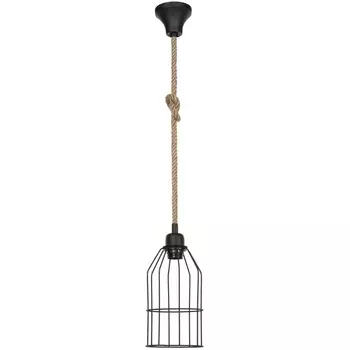 Подвесной светильник TopLight Alfreda TL1601H-01BK
